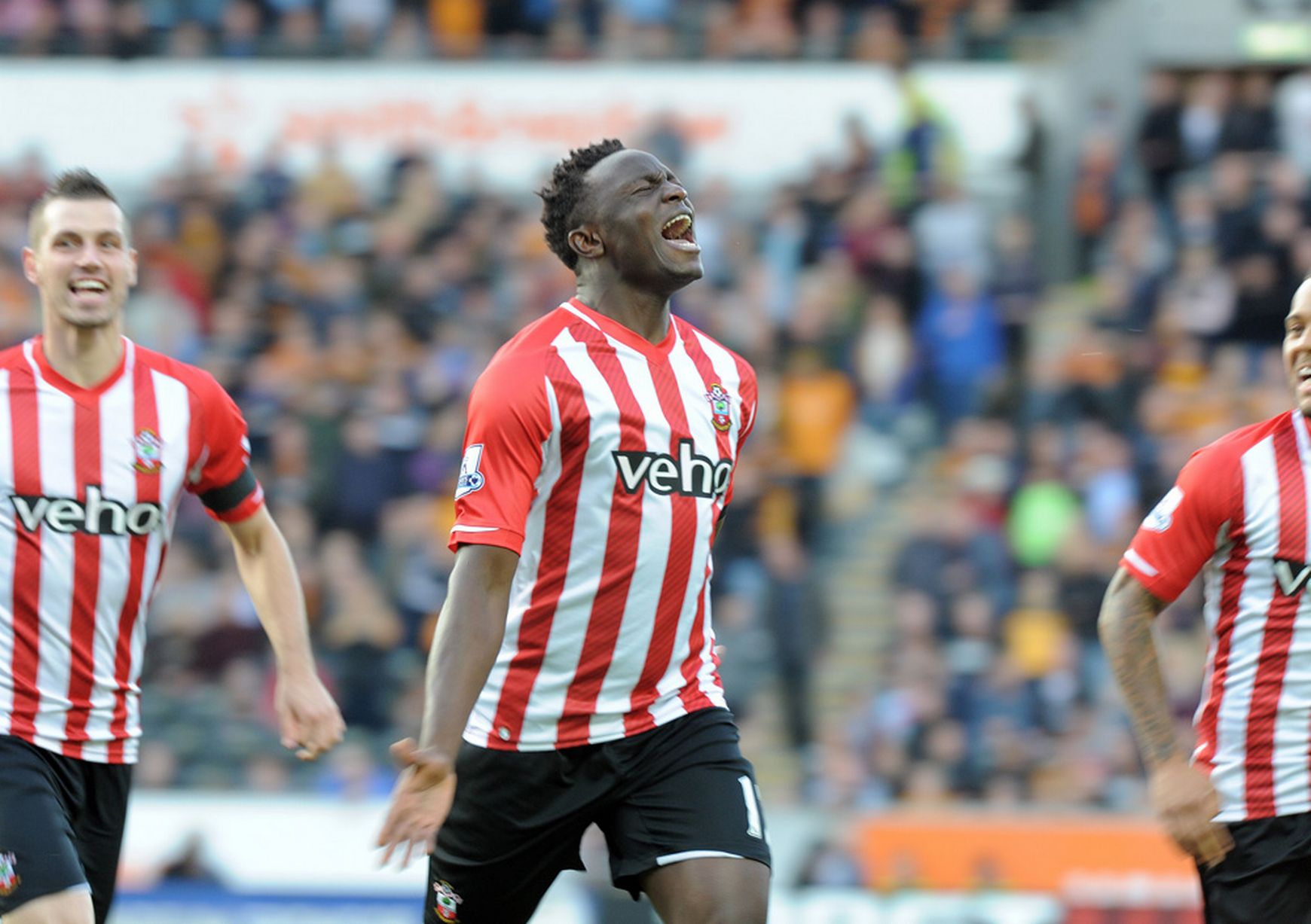 wanyama