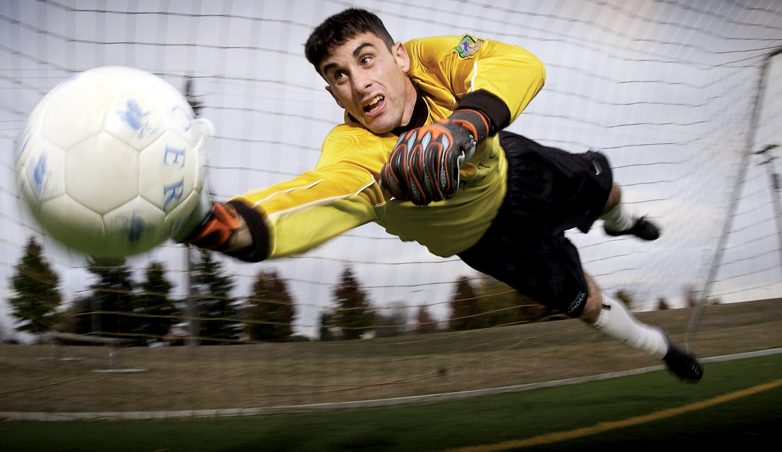 Portiere